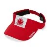 Gongshow Nucks Visey Visor -Hockey Sports Store HS20 M32 Nucks Visey 01 555x 67f73907 aebc 40e4 9952 99d9d04970e8