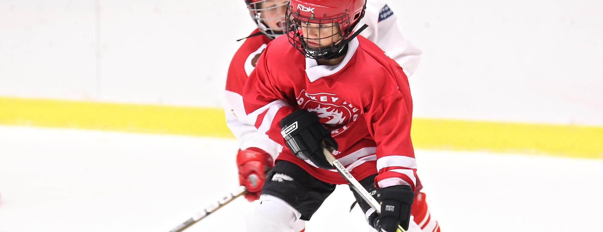 Hockey Sports Store -Hockey Sports Store hockey 2274221 1920